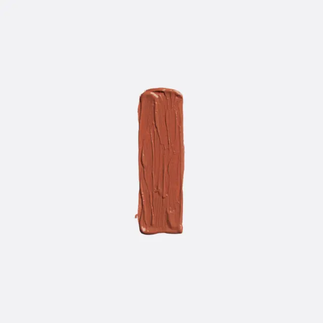 Elixir Forever Lip Mat Κραγιόν 203