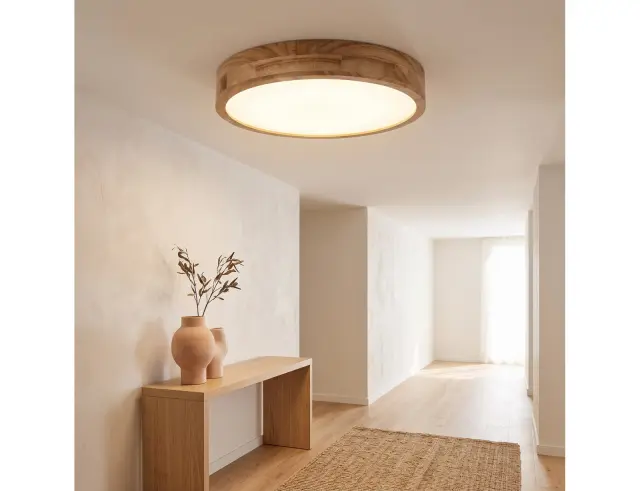 Φωτιστικό Οροφής Απλίκα Slimline Brilliant, με λαμπτήρα LED, τηλεχειριστήριο και διαστάσεις 49x49x8.5cm - Καφέ