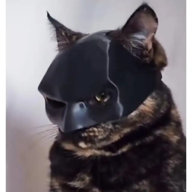 Μάσκα Batman Για Γάτες - 11,2 x 8,2 x 5,5cm / Κεφάλι: 25cm 2