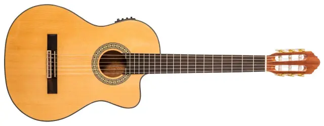 PEAVEY DELTA WOODS CNS-CE ΗΛΕΚΤΡΟΚΛΑΣΙΚΗ ΚΙΘΑΡΑ