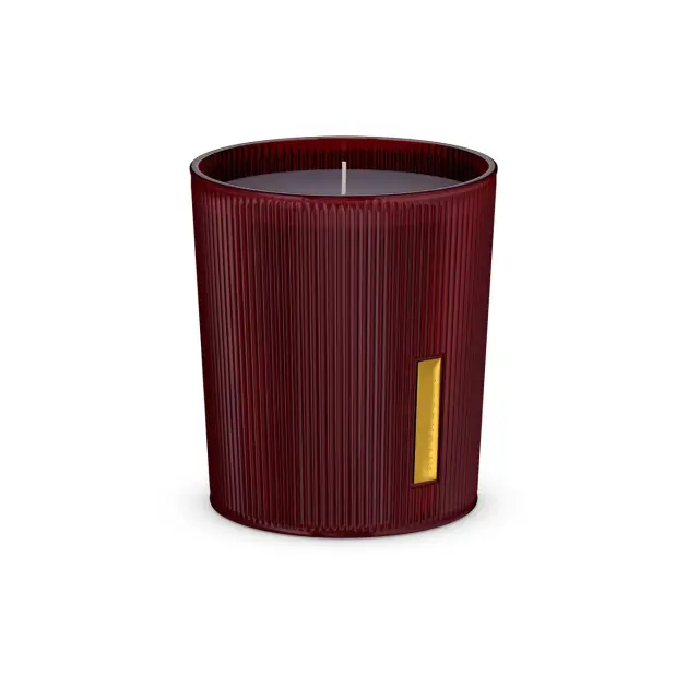 The Ritual of Ayurveda Scented Candle 290gr