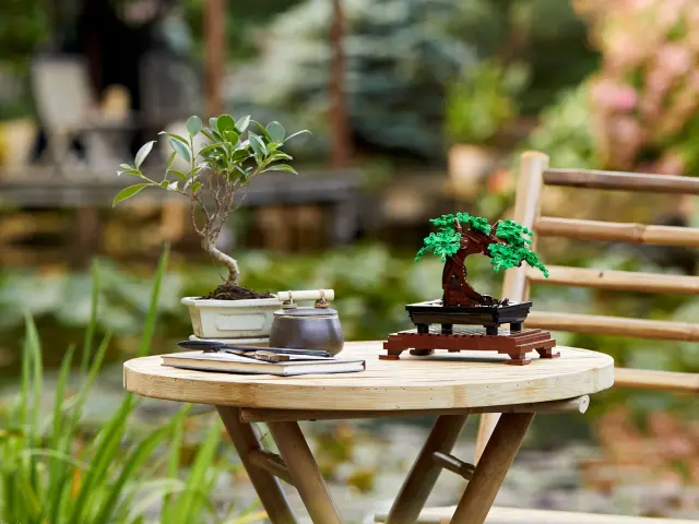 LEGO Botanical Collection Bonsai Tree για 18+ Ετών 878τμχ 3