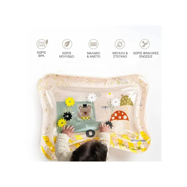 Χαλάκι Δραστηριοτήτων Taf Toys Ice cream Bear Water Mat Πολύχρωμο Για Νεογέννητα T-13765 3