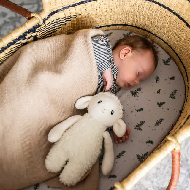 WHISBEAR SLEEPY SHEEP ΜΕ ΡΟΖ ΗΧΟΥΣ 2