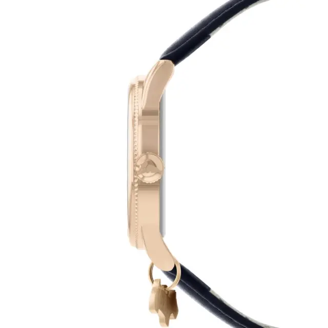 Radley London RY21352-INT 3