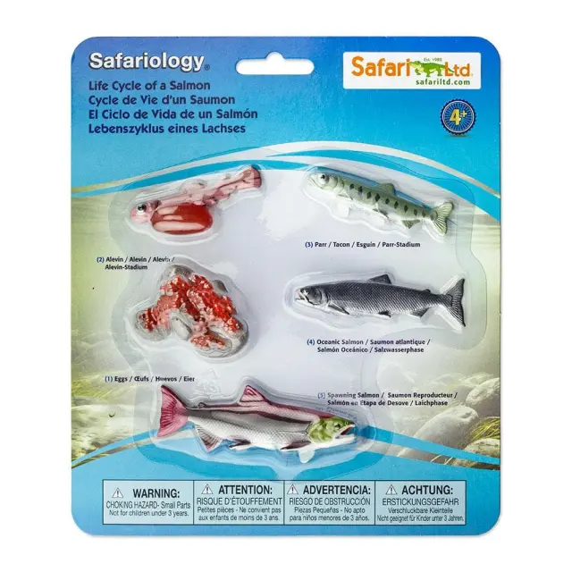 Safari Ltd Μινιατούρες Ο Κύκλος Ζωής Του Σολομού (4+ ετών) 100267 3