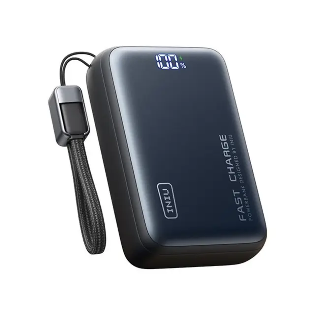 Iniu PowerBank Leopard Power 25000mAh 100W Black (P63-P1)
