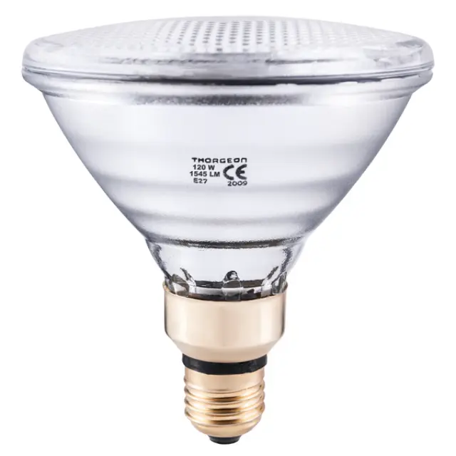 Halogen Lamp 120W E27 PAR38 24V 10°