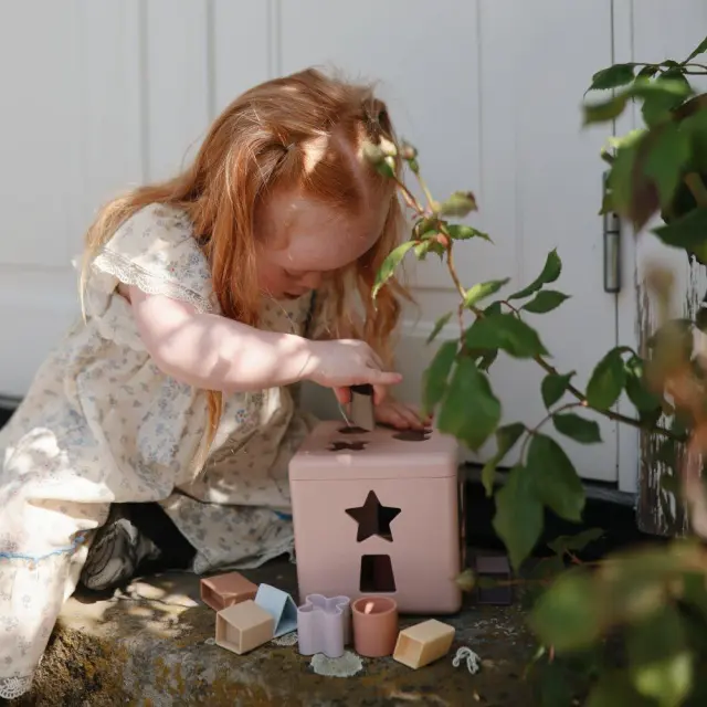 Κύβος Ταξινόμησης Σχημάτων Mushie Petal | Montessori Παιχνίδι Εκμάθησης Σχημάτων 2