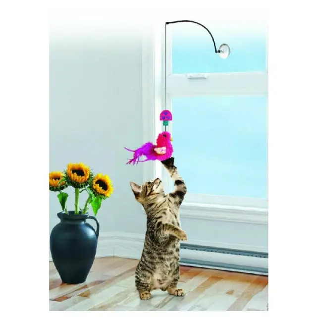 Kong Παιχνίδι Απασχόλησης για Γάτες Connects Window Teaser με Catnip 33x0x8.26cm Μονόχρωμο 2