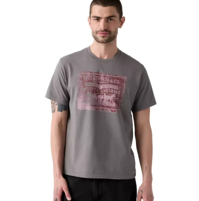 Levi's Relaxed Graphic T-Shirt ανδρικό μπλουζάκι με τύπωμα 161432609-1