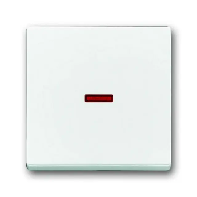 1789-84 CoverPlates (partly incl. Insert) future®, Busch-axcent®, solo®; carat® Studio white