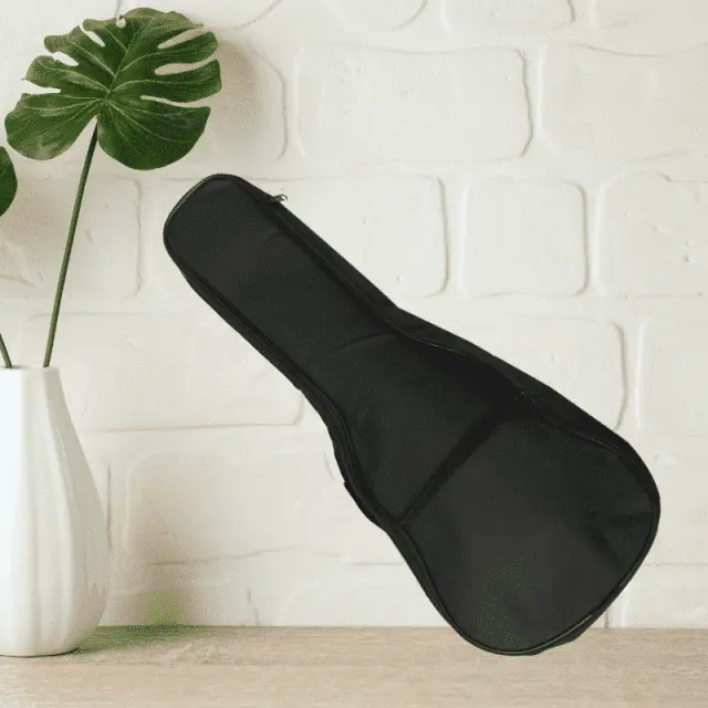 NN UK 01 BAG cover for soprano ukulele 2