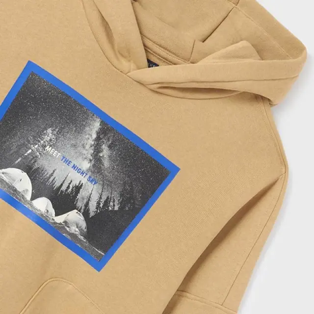 Junior 10 έως 18 ετών Φούτερ σταμπωτό Better Cotton καρύδια 3
