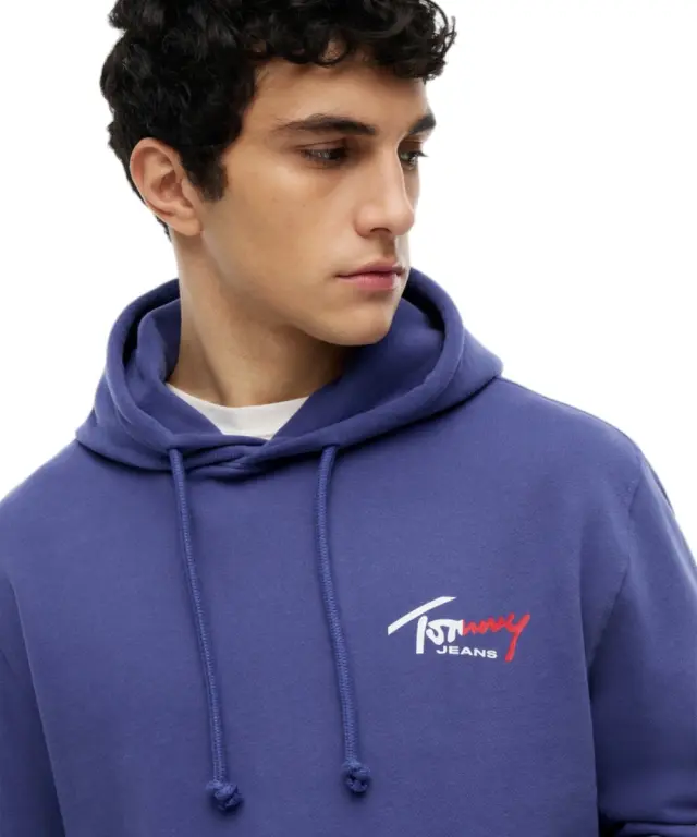 Tommy Hilfiger - Ανδρικό Φούτερ Entry Sign Regular Fit DM0DM22680-C6Q Μπλε/Μωβ 3