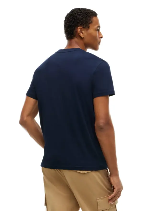 Tommy Hilfiger ανδρικό t-shirt στάμπα DM0DM23547-1 2