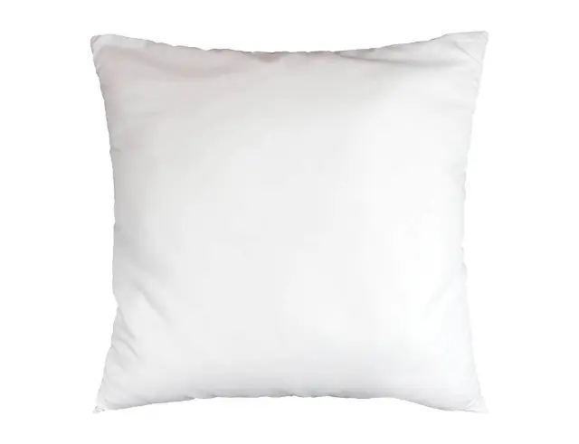 Μαξιλάρι Ύπνου Confort Douceur d'intérieur από Microfiber, με πυκνότητα 300gr/m² και διαστάσεις 60x60cm 1641116