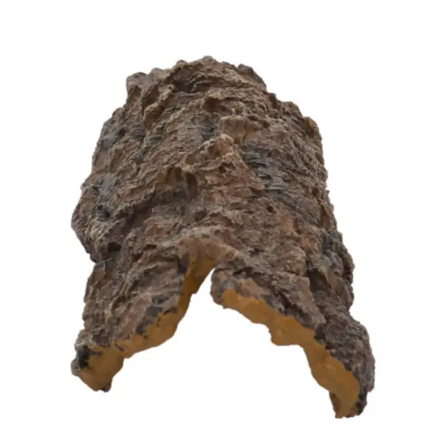 Hobby Bark Cave Διακοσμητική Σπηλιά από Φλοιό Δέντρου Small 16x8x6cm