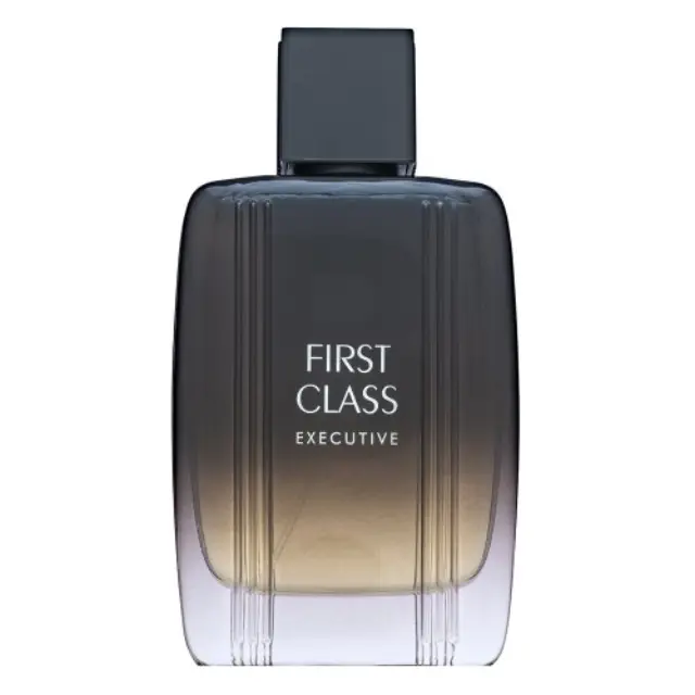 Aigner First Class Executive Eau de Toilette for men 100 ml