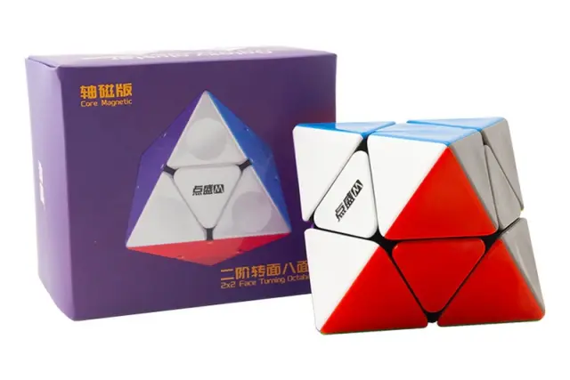 DianSheng 2X2 Magnetic FTO