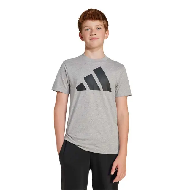 adidas Sportswear Boy's Big Logo 160 Tee Γκρι JC9663 (adidas Sportswear) - 128