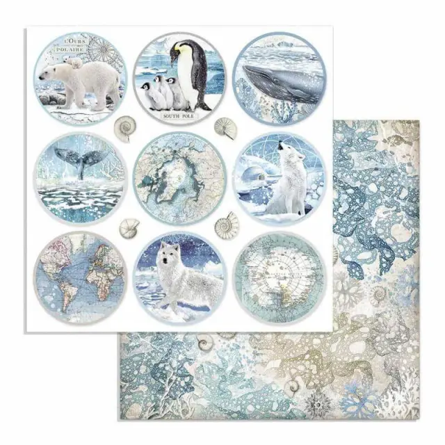 Χαρτί Scrapbooking Stamperia Διπλής Όψης - Arctic Paper Rounds - 31x30cm