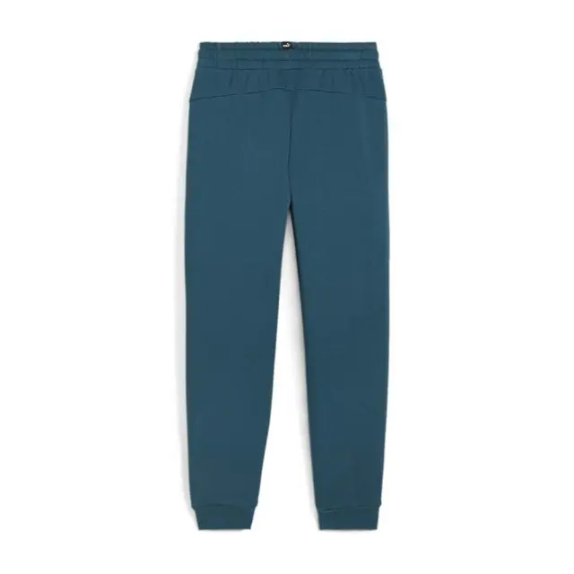 Puma Boy's Essentials+ 2 Color Logo Fleece Pants Πετρόλ 586988-08 (Puma) 2