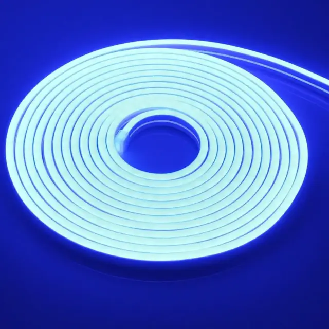 Factory Αδιάβροχη Ταινία LED RZ-0023 12V Μπλε Φως 5m Neon Flex με Τροφοδοτικό 101433 2