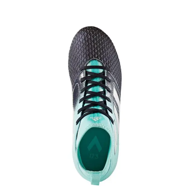 ACE 17.3 FG JR S77068 - 36 3