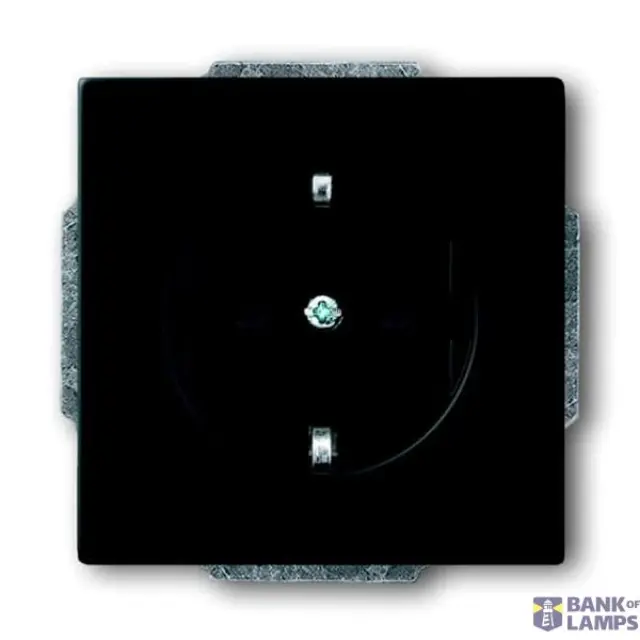 20 EUC-885-500 Cover Plates (partly incl. Insert) Protective Contact (SCHUKO) black matt - 63x63