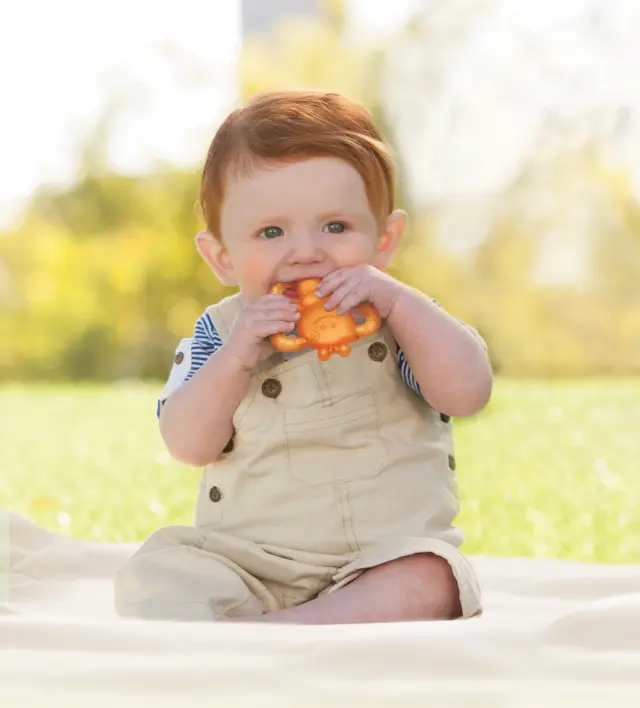 INFANTINO GARDEN TEETHINGS PALS 3