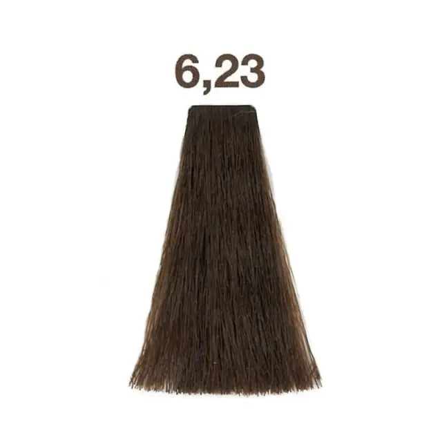 Loreal Inoa Βαφή 6,23 Ξανθό Σκούρο Ιριζέ Ντορέ 60ml 3