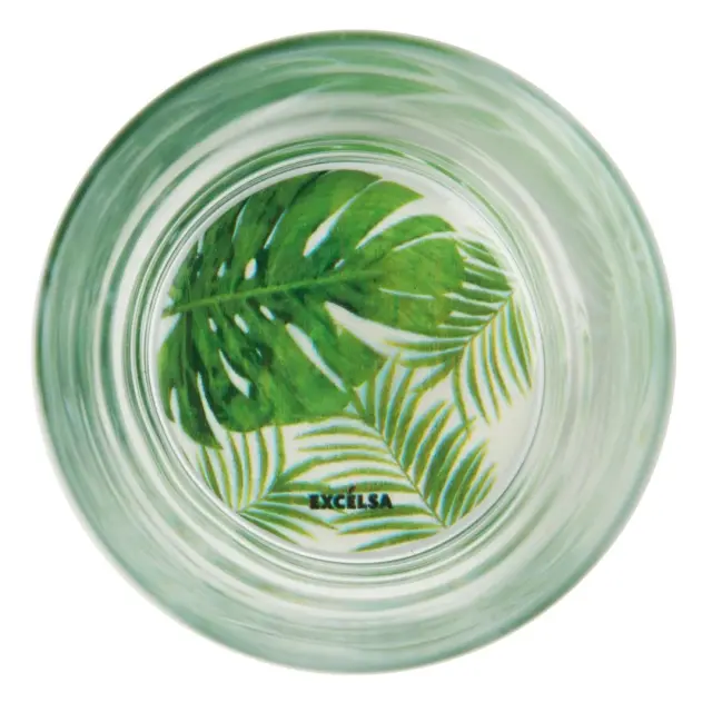 Excelsa Ποτήρι γυάλινο 340ml με χρωματιστή βάση: Foliage 2