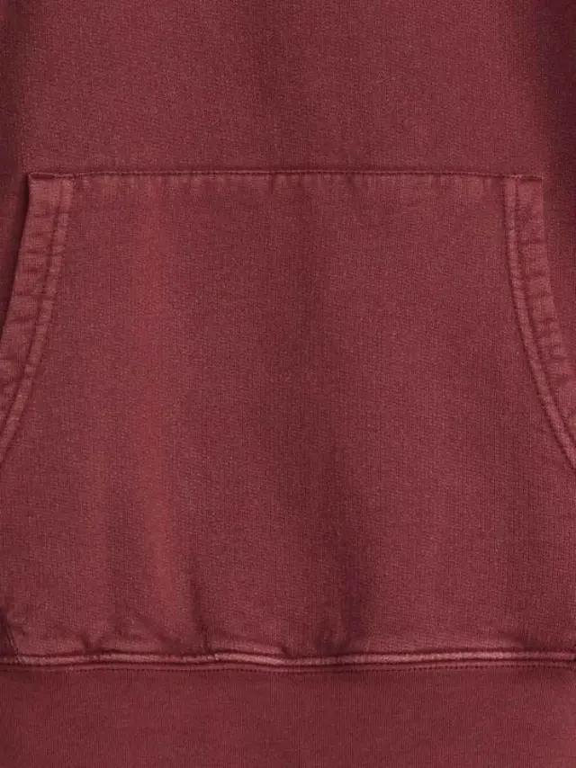 THE AUTHENTIC HOODIE REDS Red 3