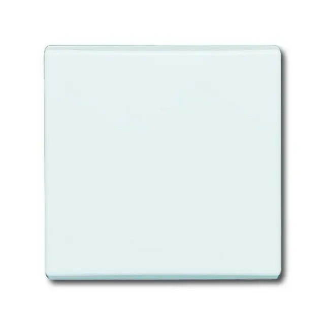 2106-34 CoverPlates (partly incl. Insert) carat® Alpine white