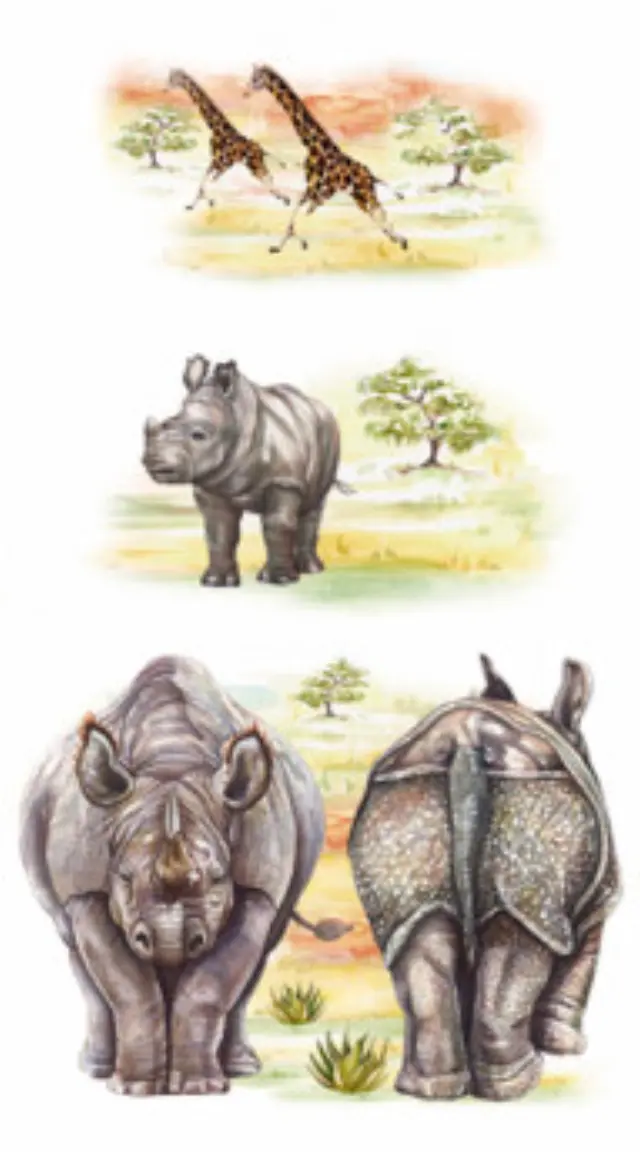 Αυτοκόλλητα για γυαλί & πορσελάνη Rhinoceros 11x20cm