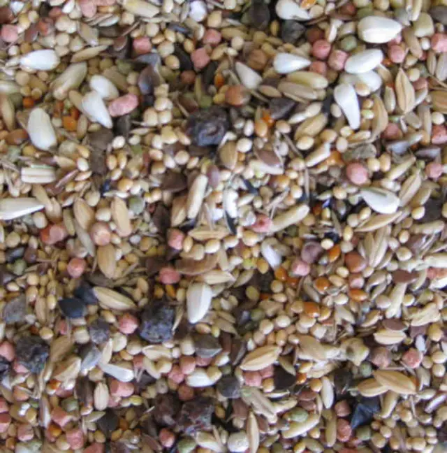 Deli Nature 5* Menu African Large Parakeets Μείγμα για Αφρικανικά Παπαγαλάκια Μεσαίου Μεγέθους 800gr Μονόχρωμο 2