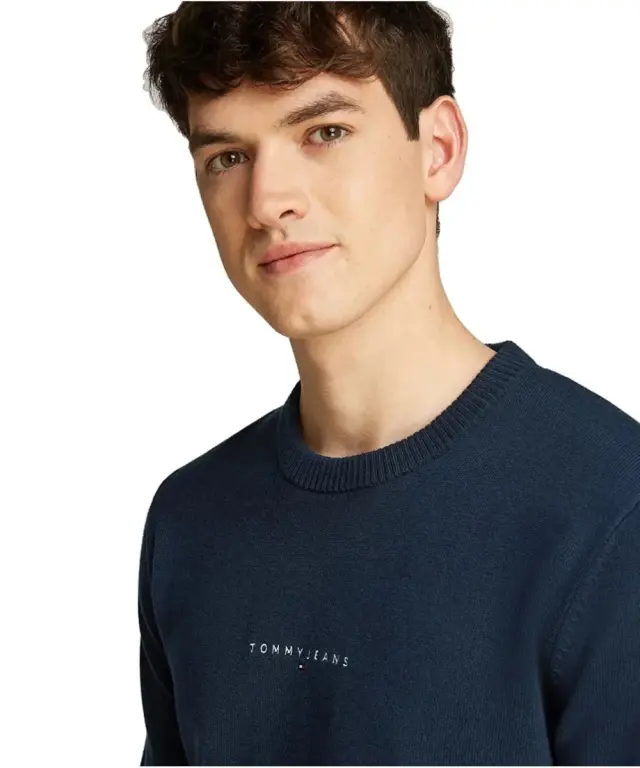 Tommy Hilfiger - Ανδρικό Πουλόβερ Linear Small Chest DM0DM20299-C1G Μπλε Σκούρο 3