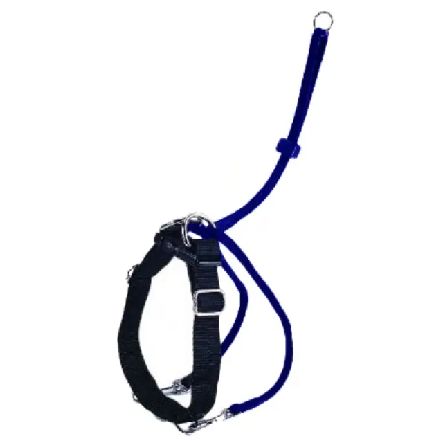 Pet Camelot Εκπαιδευτικό Σαμαράκι Easy Walker Small 27-36cm