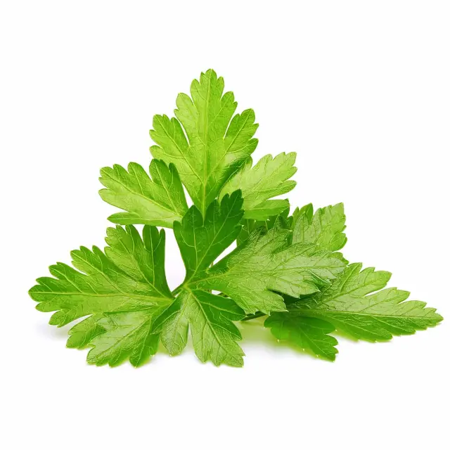 Click and Grow Συσκευασία Σπόρων με Χώμα, για Κόλιανδρο - 3τμχ 3