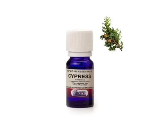 ARGITAL Essential Oil Cypress – Φυσικό Αιθέριο Έλαιο Κυπαρισσιού για την Καταπολέμηση της Κυτταρίτιδας, 10 ml