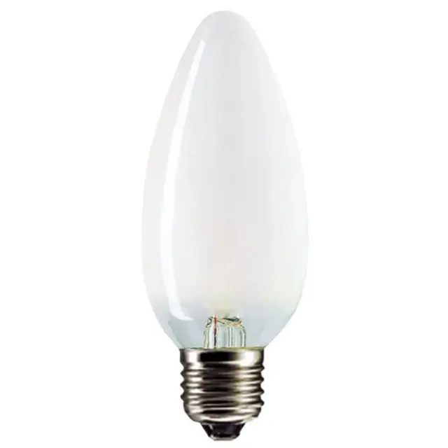 Incandescent Bulb E-27 60W B35 fr. 220V special.