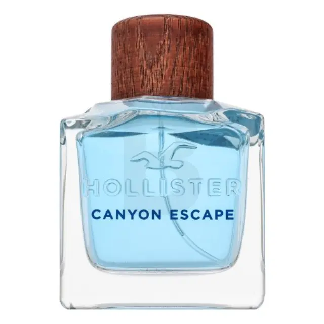 Hollister Canyon Escape Eau de Toilette for men 100 ml