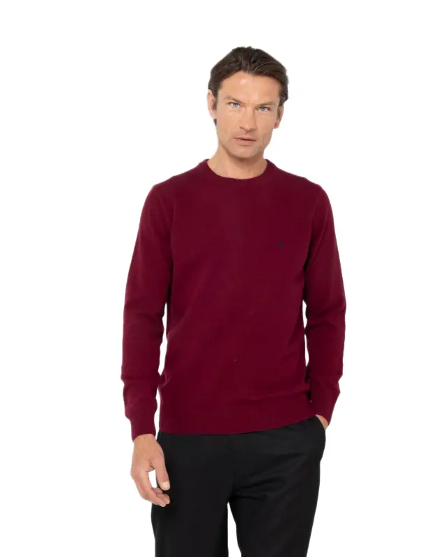 The Bostonians Lambswool ανδρική πλεκτή μπλούζα μακρυμάνικη 3MR00012-21