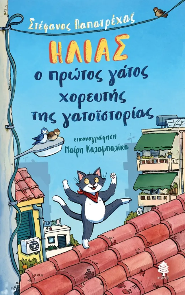 Ηλίας, ο πρώτος γάτος χορευτής της γατοϊστορίας