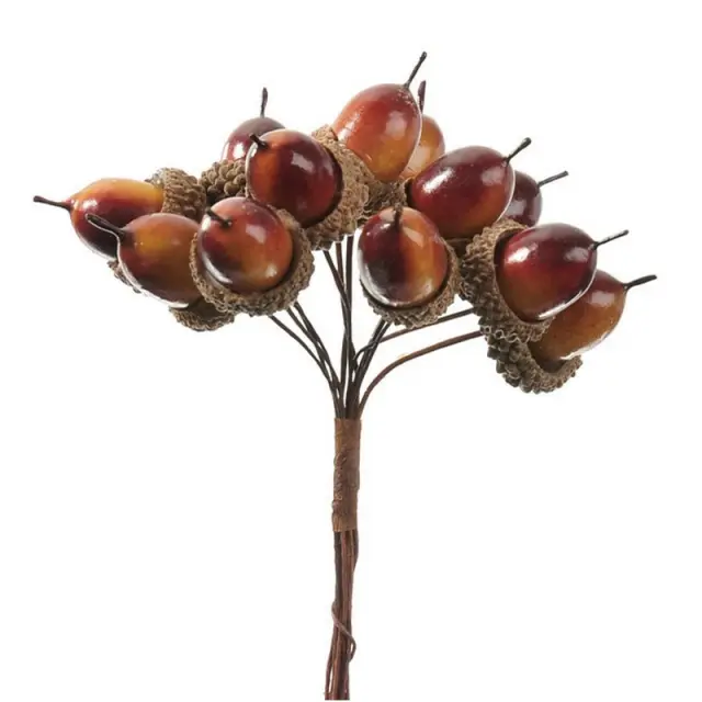 Βελανίδια ματσάκι, 12cm