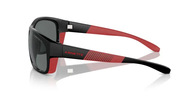 Γυαλιά Ηλίου Arnette FLORESTA AN4337 275381 Μονόχρωμοι Polarized (Arnette) (AN4337 275381) 3