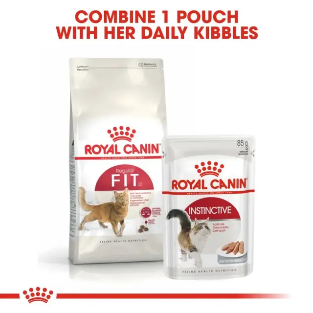 Royal Canin Regular Fit 32 2kg 3
