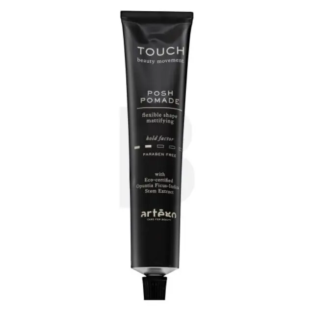 Artègo Touch Posh Pomade Flexible Shape Mattifying hair pomade for a matte effect 100 ml