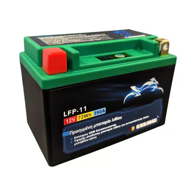 Μπαταρία Εκκίνησης Λιθίου 12V 6Ah 390A LFP-11 Skyrich